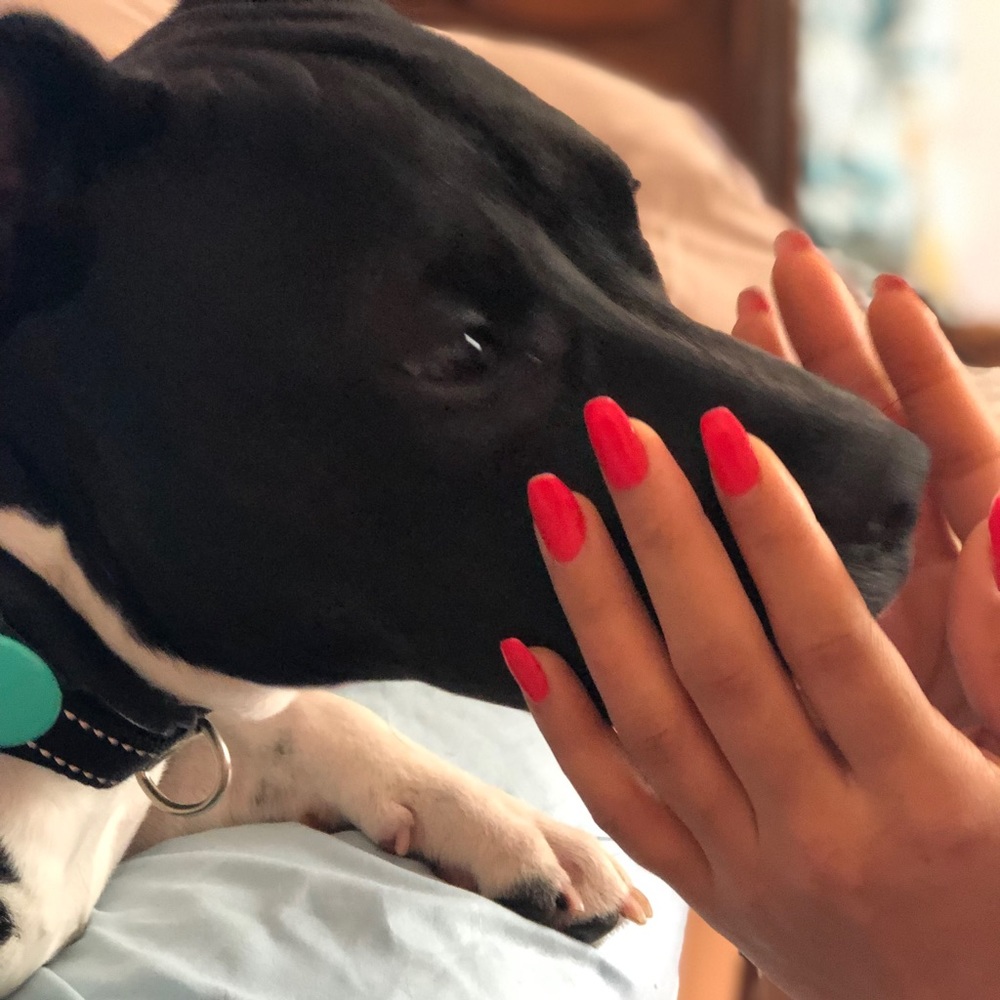 Meet your Posher, Blandy